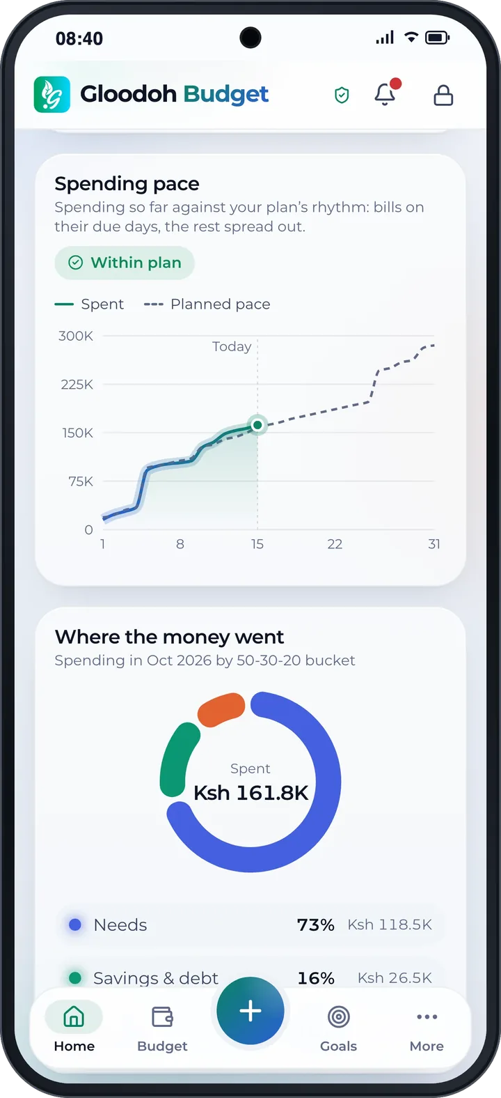 Spending pace: this month's spending against the plan, day by day.